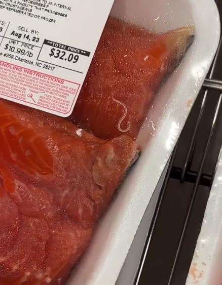Cacing hidup menggeliat dalam bungkusan ikan salmon.