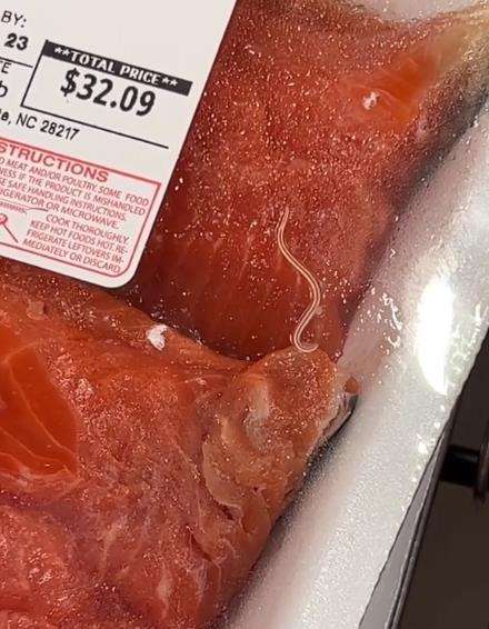 Cacing hidup menggeliat dalam bungkusan ikan salmon.