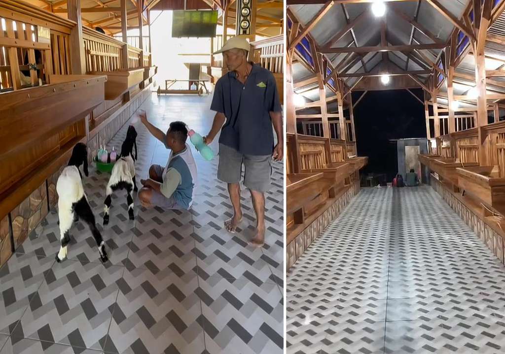 Viral kandang kambing desainnya estetik.