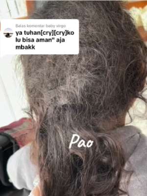 Kutu