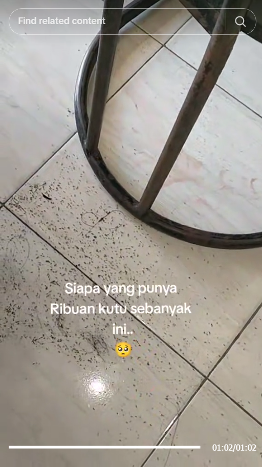 Merinding! Awalnya Dikira Ketombe, Ternyata ada Ribuan Kutu Bersarang di Kepala Wanita ini