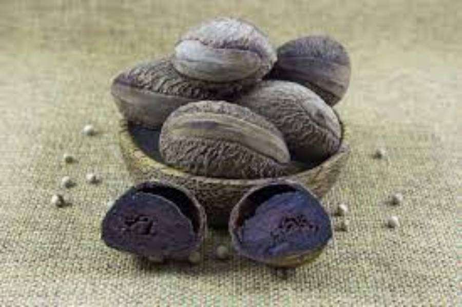 Buah kluwek yang membuat Rawon berwarna hitam pekat