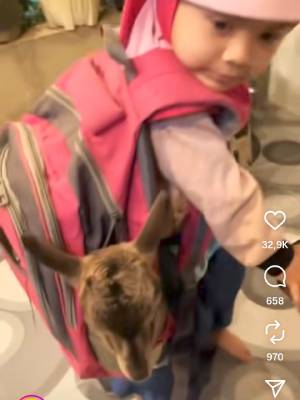 Momen Kocak Bocah Pulang Ngaji Bawa Anak Kambing di Dalam Tas