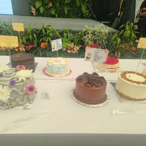400 Kue Ramaikan Picnic Story, Buat Piknik Jadi Makin Seru
