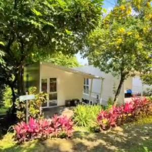 4 Glamping Wajib di Puncak Bogor, Instagramable Banget!