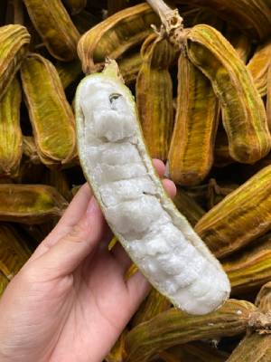 Buah Salju, Oleh-Oleh Unik dari Bedugul yang Lembut dan Manis Seperti Kapas Buah Salju, Oleh-Oleh Unik dari Bedugul yang Lembut dan Manis Seperti Kapas