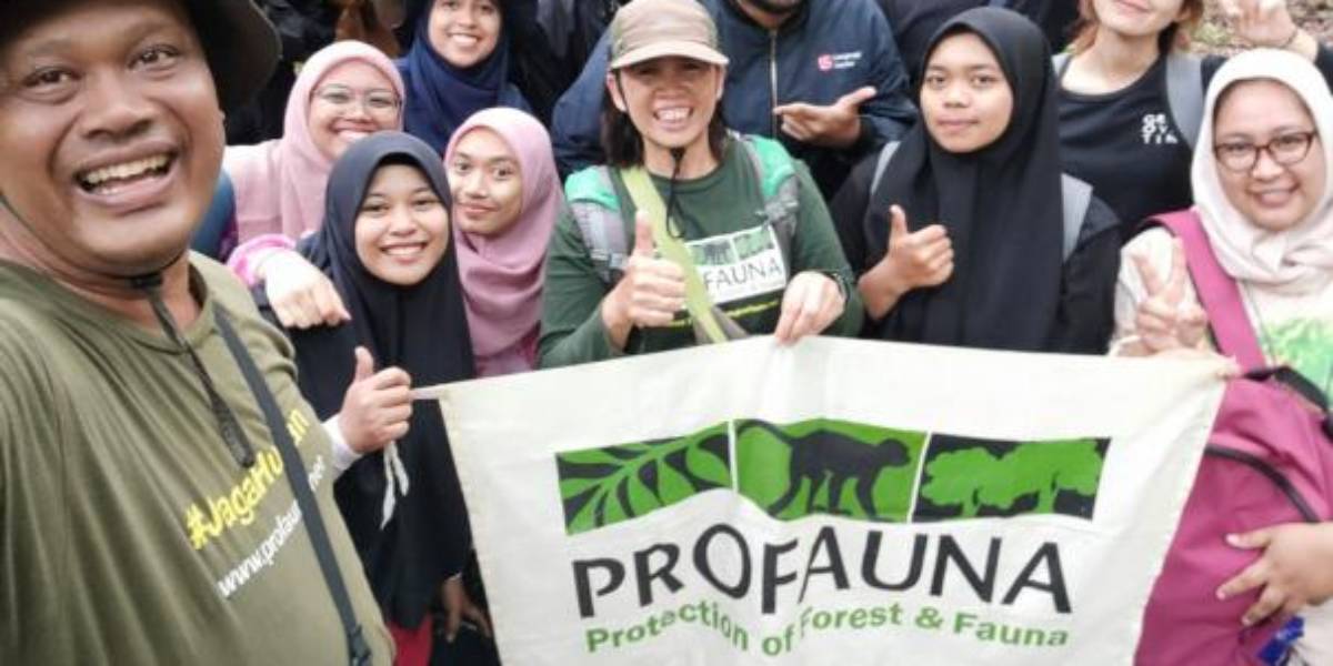 Profauna Indonenesia Aktif Lestarikan Hutan & Lindungi Satwa Liar Sejak 1994 Profauna Indonenesia Aktif Lestarikan Hutan & Lindungi Satwa Liar Sejak 1994
