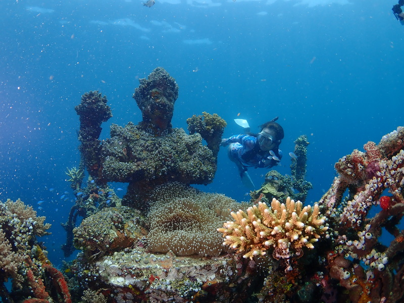 Desa Wisata Pemuteran Bali