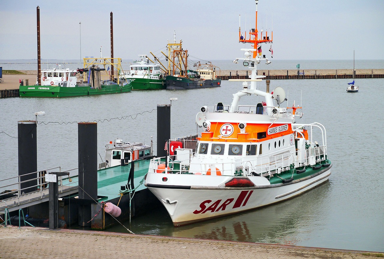 Tim SAR (Pixabay.com -  hpgruesen)
