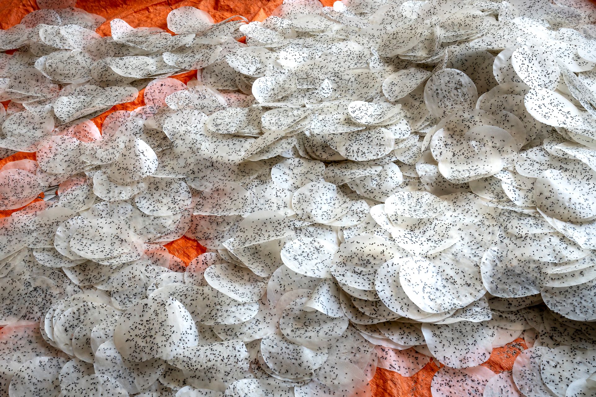 Sisik ikan (Pexels-Quang Nguyen Vinh) Sisik ikan (Pexels-Quang Nguyen Vinh)