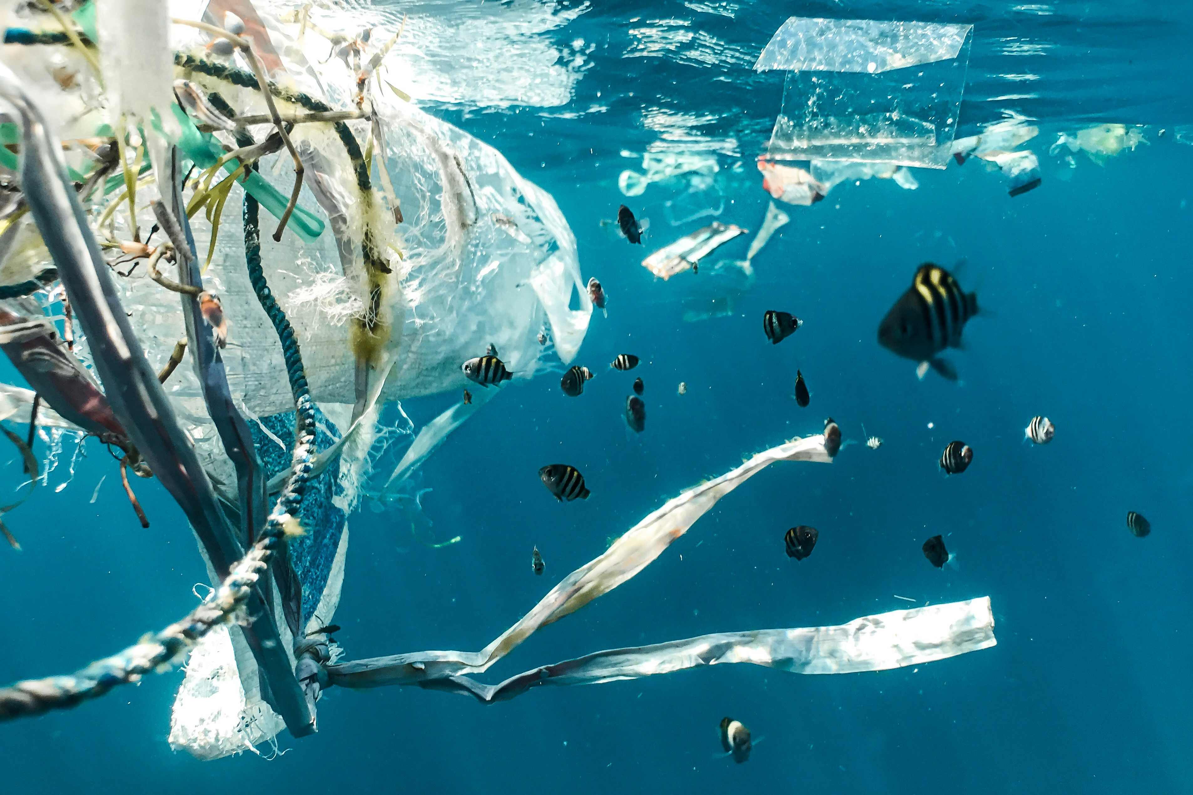Ilustrasi Mikroplastik Ilustrasi Mikroplastik