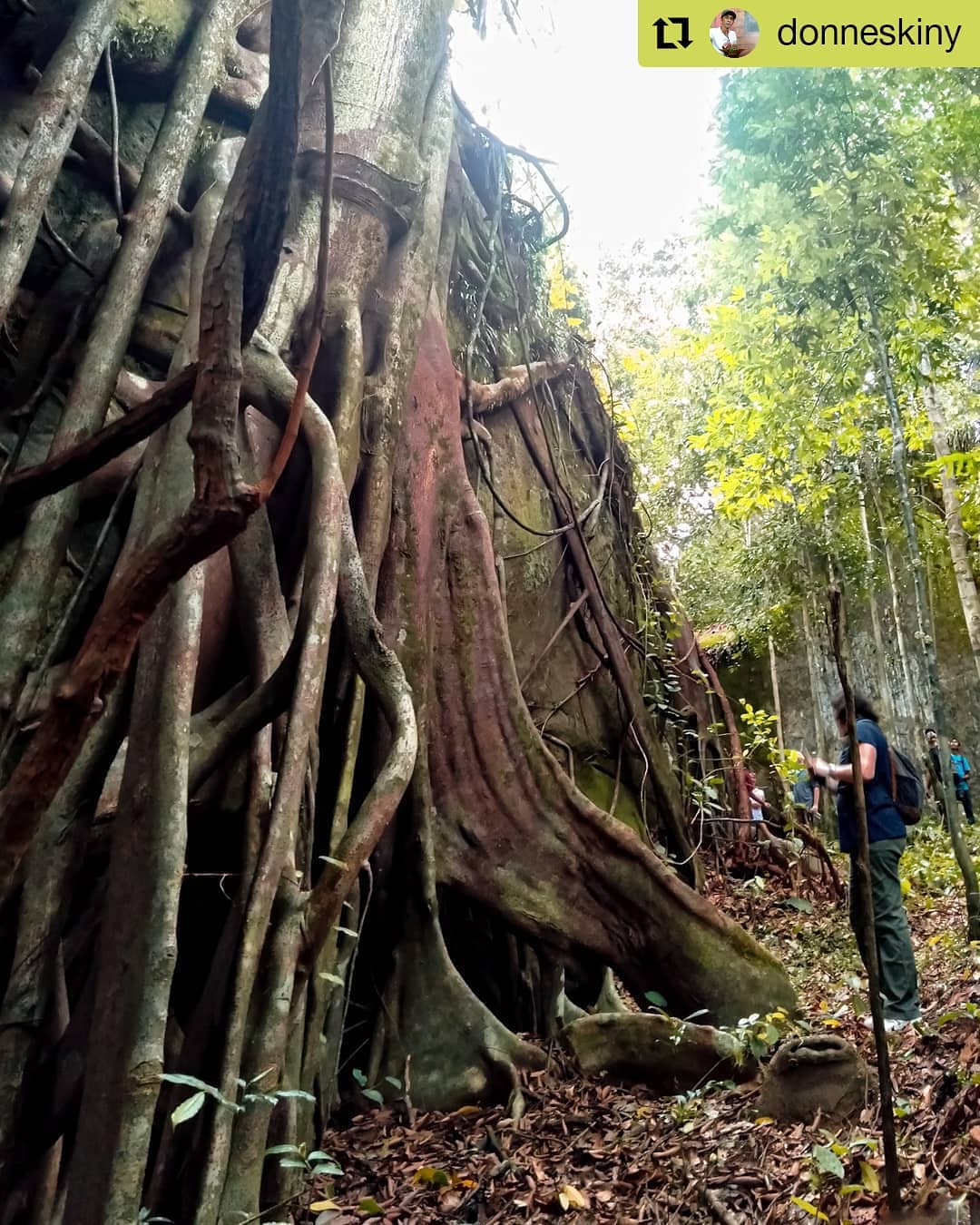 Bukit Peramun Belitung (Instagram @bukitperamunofficial) Bukit Peramun Belitung (Instagram @bukitperamunofficial)