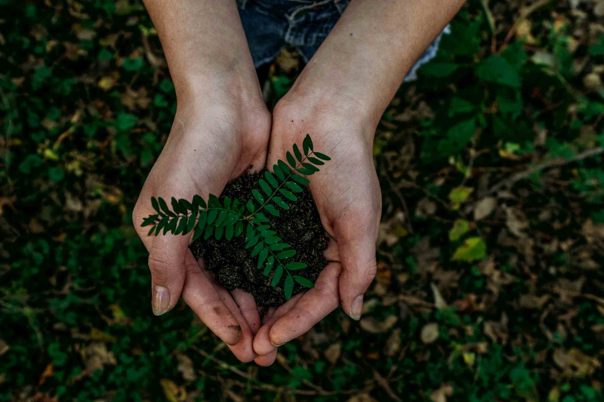 Green Jobs