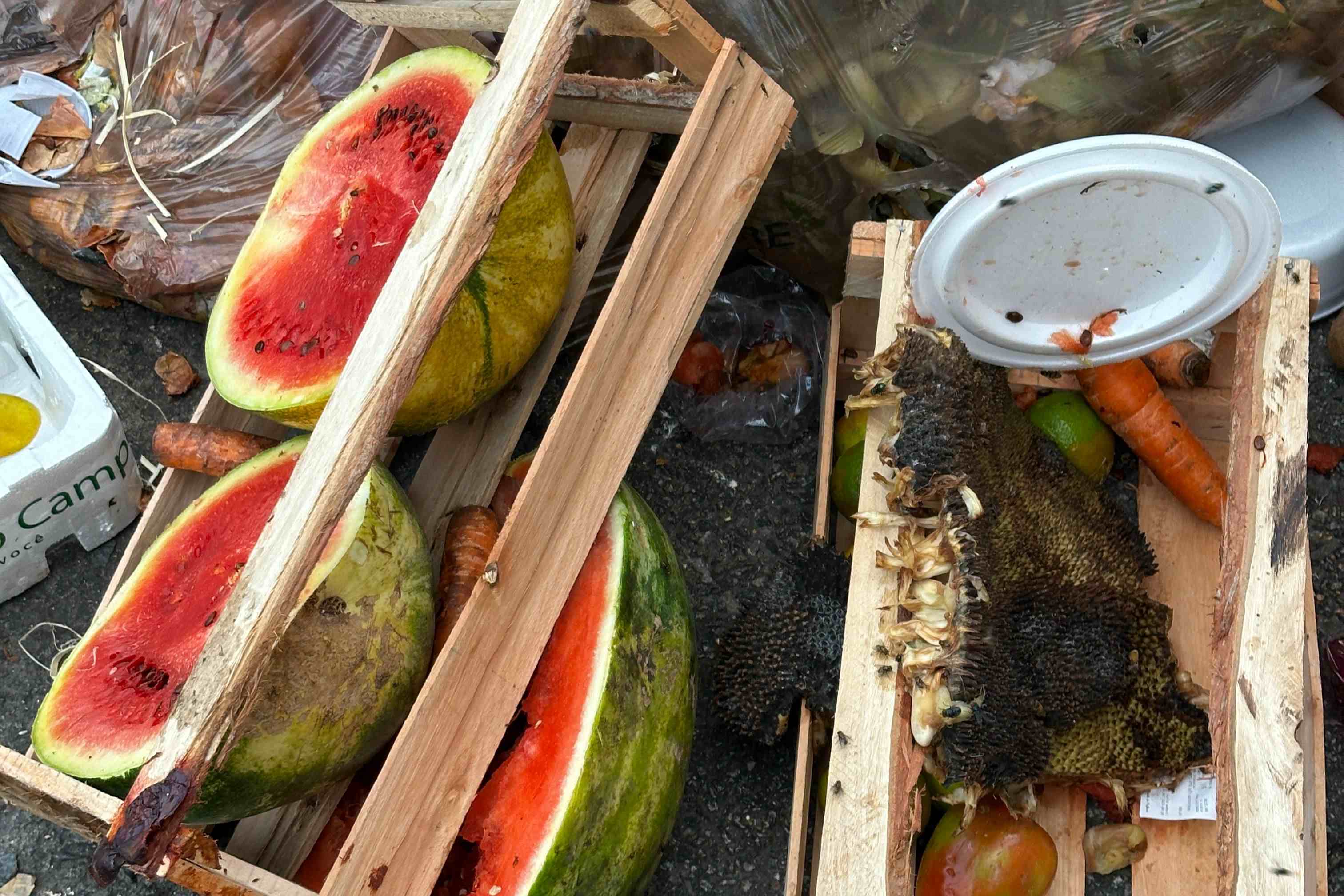 Limbah makanan/ Food Waste Limbah makanan/ Food Waste