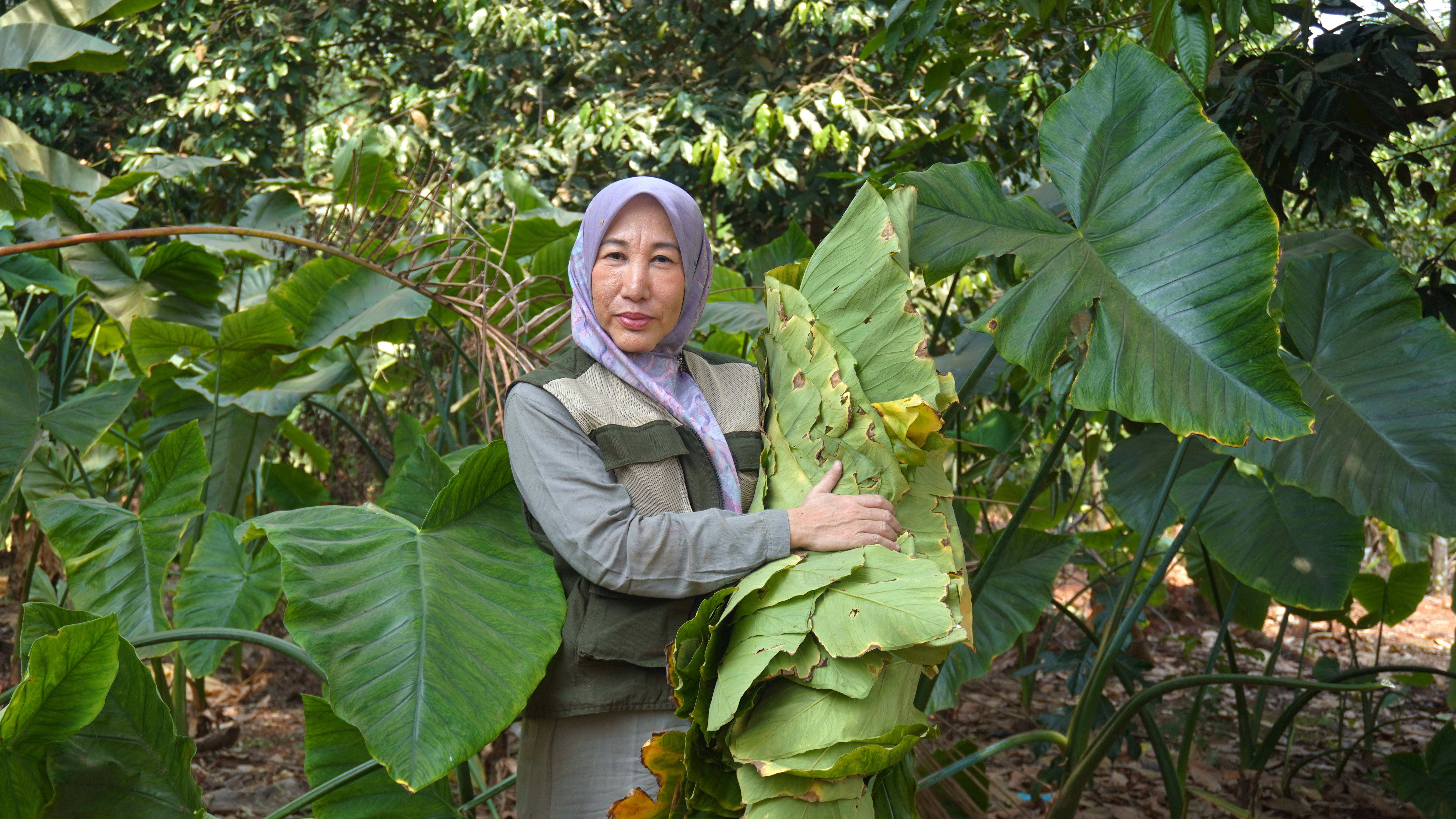 Istiqamah dan Rulyantina (FAO) Istiqamah dan Rulyantina (FAO)