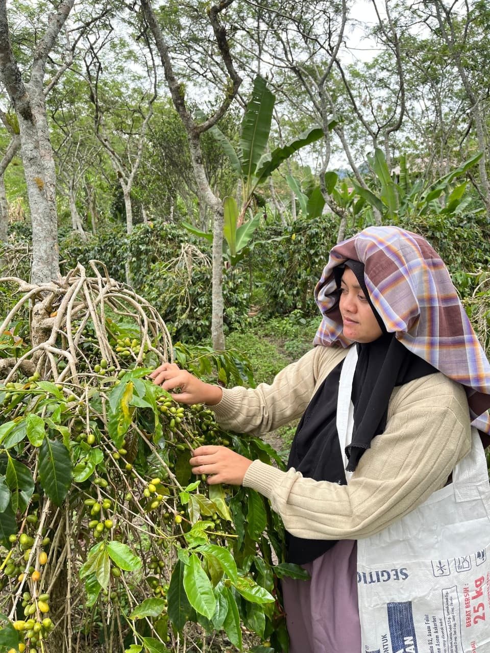 Istiqamah dan Rulyantina (FAO) Istiqamah dan Rulyantina (FAO)