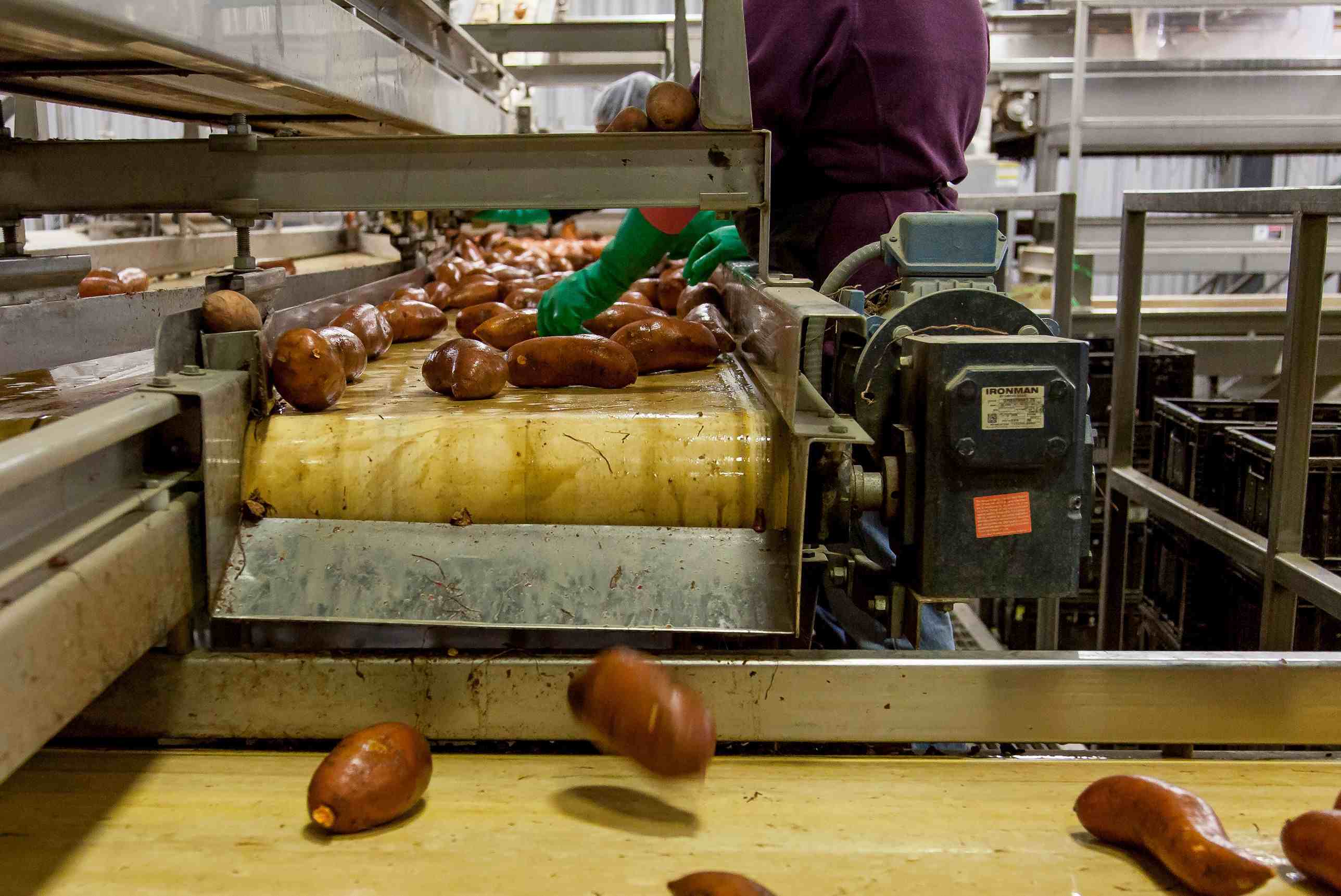 Limbah industri pangan Limbah industri pangan