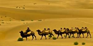 Xinjiang, 'Kampung' Muslim China yang Kaya Raya