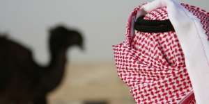Wabah MERS, Harga Jual Unta Turun 50%