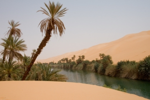 Foto Gurun Sahara yang Pernah Hijau