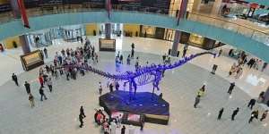 Dinosaurus 155 Juta Tahun Muncul di Mal Kota Muslim