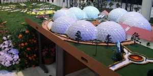 Taman Kupu-kupu Pertama Segera Percantik Dubai