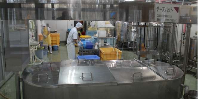 Jepang Bangun Pabrik Tepung Halal Pertama di AS