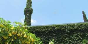 Masjid Unik, Berlapis Tanaman Indah