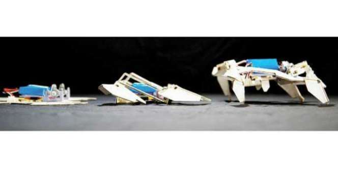 Origami `Disulap` Jadi Robot Masa Depan