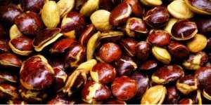 Jengkol, Si Bau yang Kaya Vitamin