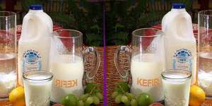 Kefir, Minuman Sejuta Manfaat