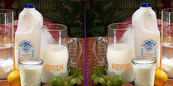 Kefir, Minuman Sejuta Manfaat