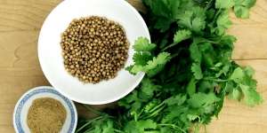 5 Sayuran Obat Herbal Alami