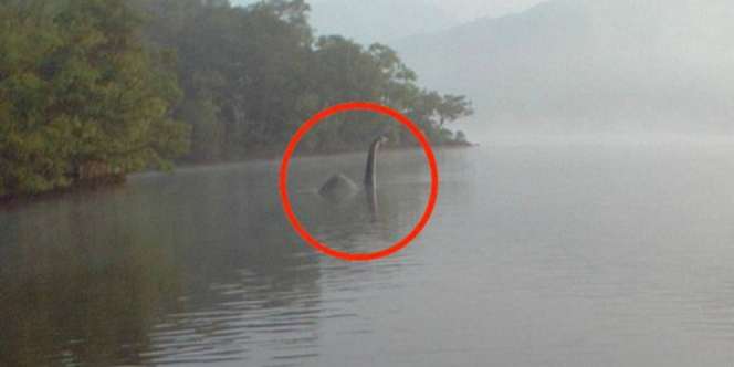 Monster Loch Ness Tertangkap Kamera?
