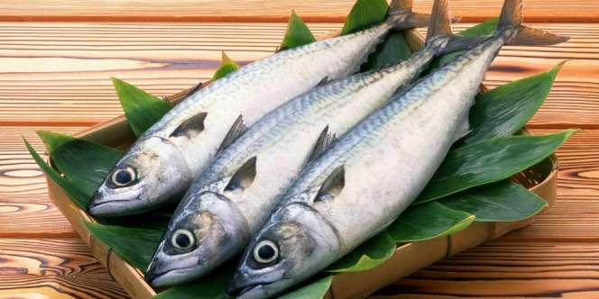 Trik Siasati Bau Amis Ikan