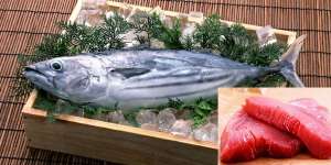 Pendengaran Bermasalah? Perbanyak Santap Ikan