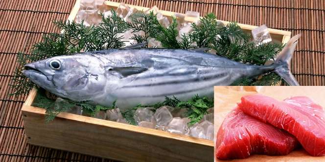 Pendengaran Bermasalah? Perbanyak Santap Ikan
