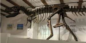 Dijual! Fosil Dinosaurus `T-Rex` Seharga Rp 120 Miliar