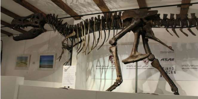 Dijual! Fosil Dinosaurus `T-Rex` Seharga Rp 120 Miliar