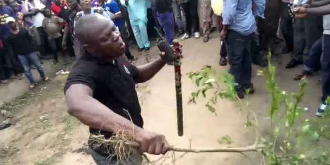 Sosmed Heboh Video Burung Berubah Jadi Wanita