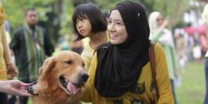 Acara Menyentuh Anjing di Malaysia Menuai Kontroversi
