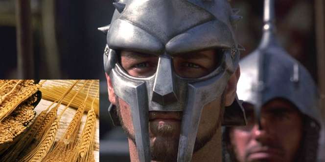Rahasia Makanan Prajurit Gladiator