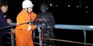 Apes, Hindari Didamprat Istri Malah Nyebur Kolam Tinja