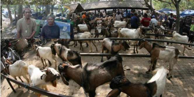 Kisah Pemulung Ditertawakan Saat Kurban 2 Kambing