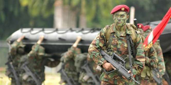 Latihan Bareng TNI, 2 WNI Ikut Wajib Militer Singapura