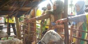 World Muslimah, Yogya, dan `Hotel Dusun`