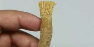 Ini Manfaat Utama Siwak untuk Kesehatan Gigi