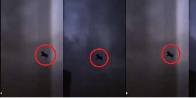 Menguak Penampakan `Kuda Terbang` di Langit Mekah