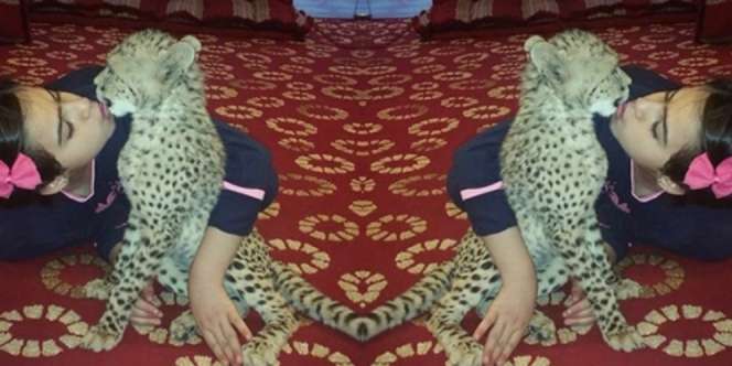 Gadis Cilik Tinggal Sekamar dengan 3 Binatang Buas