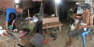 Pemulung Kampung Melayu Rela Tak Makan Demi Puluhan Kucing